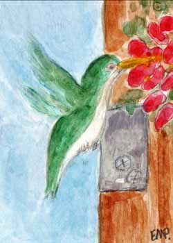 "Hummingbird Lunch" by Effie M. Pollock-Guethlein, Lodi  WI - Acrylic, SOLD